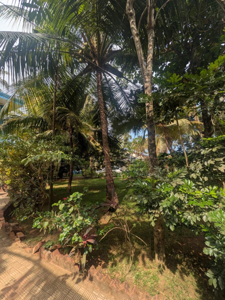 Garden